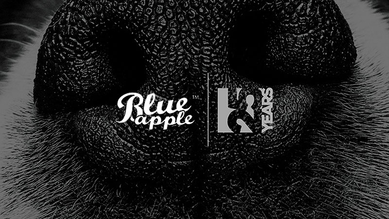 Blue Apple South Africa logo